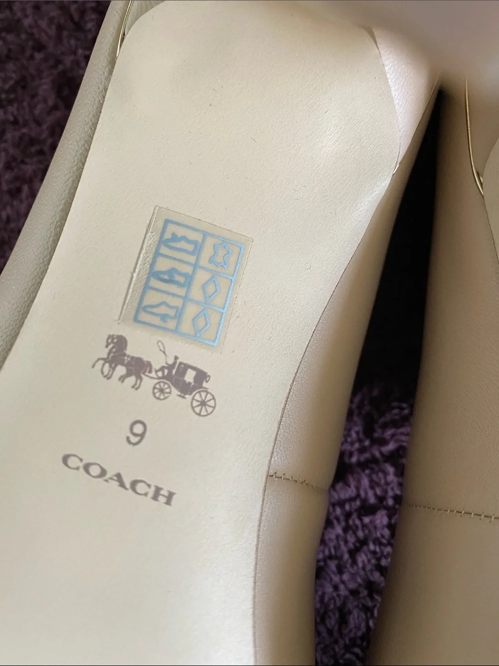 Coach Women's Pointed-Toe Pumps in Blush Nude